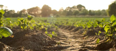 Two wheel tractors: the future of farms